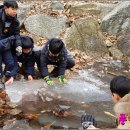 숲에서놀자 이미지