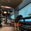 바디팰리스짐 이미지