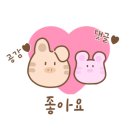 늘예쁨눈썹