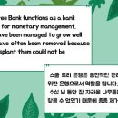 06차 이동렬 School Tree Bank is operating in Daegu ~ 이미지