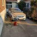 정원손세차 | 치카치카 손세차 도구 이거 하나면 끝나요