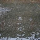 자금성건강랜드 이미지