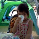 봉황대운동장 이미지