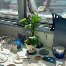 서서히 세라믹 스튜디오 이미지