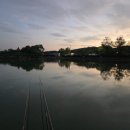 새봉낚시터 이미지