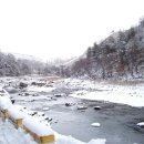고향 Daum카페