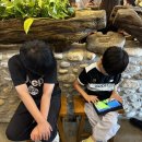 석가네사천돼지국밥 | [경남/사천] 사천 돼지국밥맛집, 석가네 사천돼지국밥