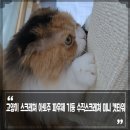 (주)파우제 이미지