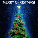 리베볼(liebevoll) 이미지