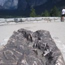 평원농장 이미지