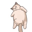 아반티양꼬치 이미지