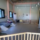 도그노크 이미지