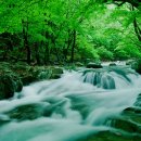 계곡풍경 이미지