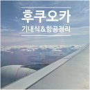 791 | [후쿠오카] 항공권 및 대한항공 KE791편 기내식 등 후기