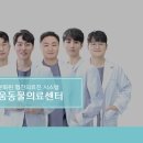 24시 라움동물의료센터 이미지
