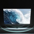 진엔터테인먼트 이미지