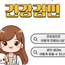 루리동물병원 이미지