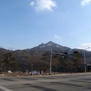 솔고개식당