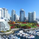 바른국제행정사사무소 이미지