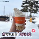 [홋카이도]비에이_비에이투어/인디고트래블투어/내돈내산투어후기/좐박 만난 후기