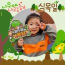 미주 유치원 이미지