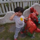 슈필렌유치원 이미지