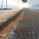 산들영농조합법인 이미지