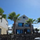 제주 서귀포 벨루아 | 제주 I 서쪽 가성비 오션뷰 벨루아 펜션 내돈내산 숙박 후기