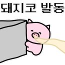 시선순천조례점 이미지