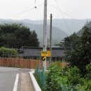 정미보리밥 이미지