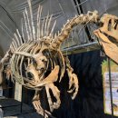 고성오광대 상설공연 이미지