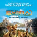 호랑이형제