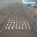 순하우스 이미지