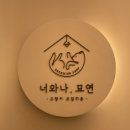 묘연 | [고양이 무마취미용] ‘너와 나, 묘연’에서 안전한 고양이 교감미용 후기, 비용