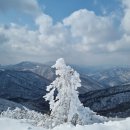 함백산 이미지