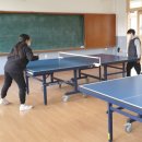 수 당구마을 이미지