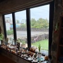 한우물목장 | 아기랑 제주도 여행 1(에코랜드 호텔, 고흐의정원, 밭디)