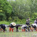 김용식농장 이미지