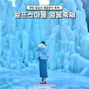 구만리콩마을 영농조합법인 | 충남 청양 알프스마을 얼음축제 개장 예매 주차장