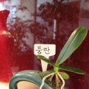 느티나무치과의원 이미지