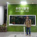 푸른초장 이미지