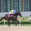 부마목장 일간스포츠