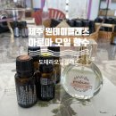 제주도 원데이클래스 공방 후기! 도테라오일클래스&amp;티카페 향수 만들기