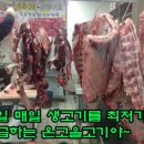 온고을마트 이미지