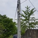 이레 양계장 이미지