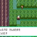 로토스 28 이미지