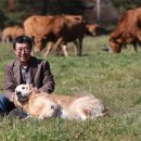 골든목장 이미지