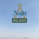 등산아울렛 | 등산 초보도 OK 나주 금성산 정렬사 코스 솔직 후기 (지뢰 위험?!)