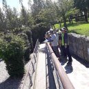 당쟁이로 이미지