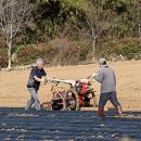 (주)아리랑투어써비스 이미지
